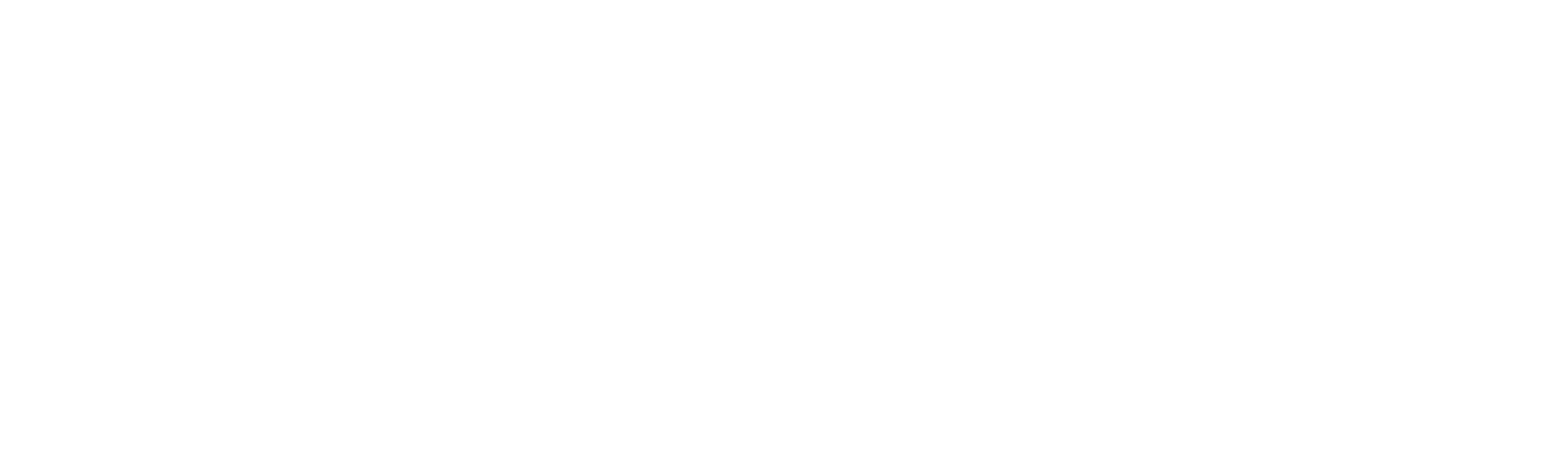 logo_isento_weiss